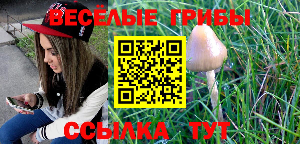 Псилоцибиновые грибы мухоморы  продажа наркотиков  Альметьевск  Вход с VPN 
