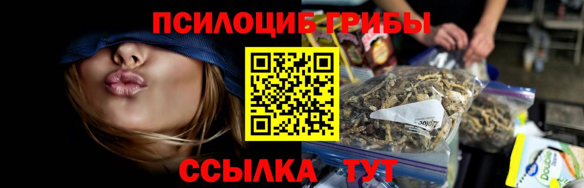 Псилоцибиновые грибы прущие грибы Альметьевск